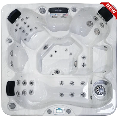 Avalon-X EC-849LX hot tubs for sale in Garland